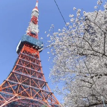 東京女孩出勤速報群